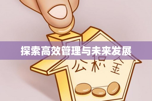 恒山探索高效管理与未来发展