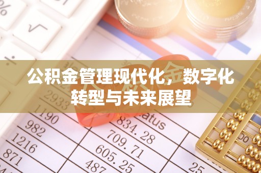 恒山公积金管理现代化，数字化转型与未来展望