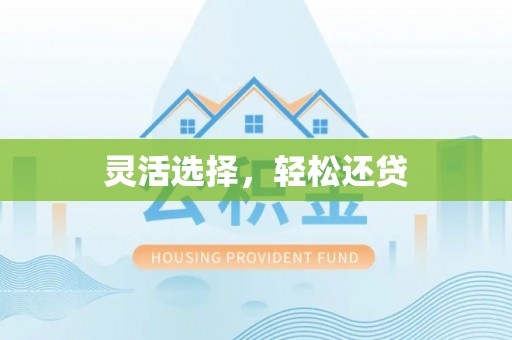 恒山灵活选择，轻松还贷
