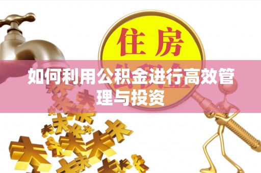 恒山如何利用公积金进行高效管理与投资